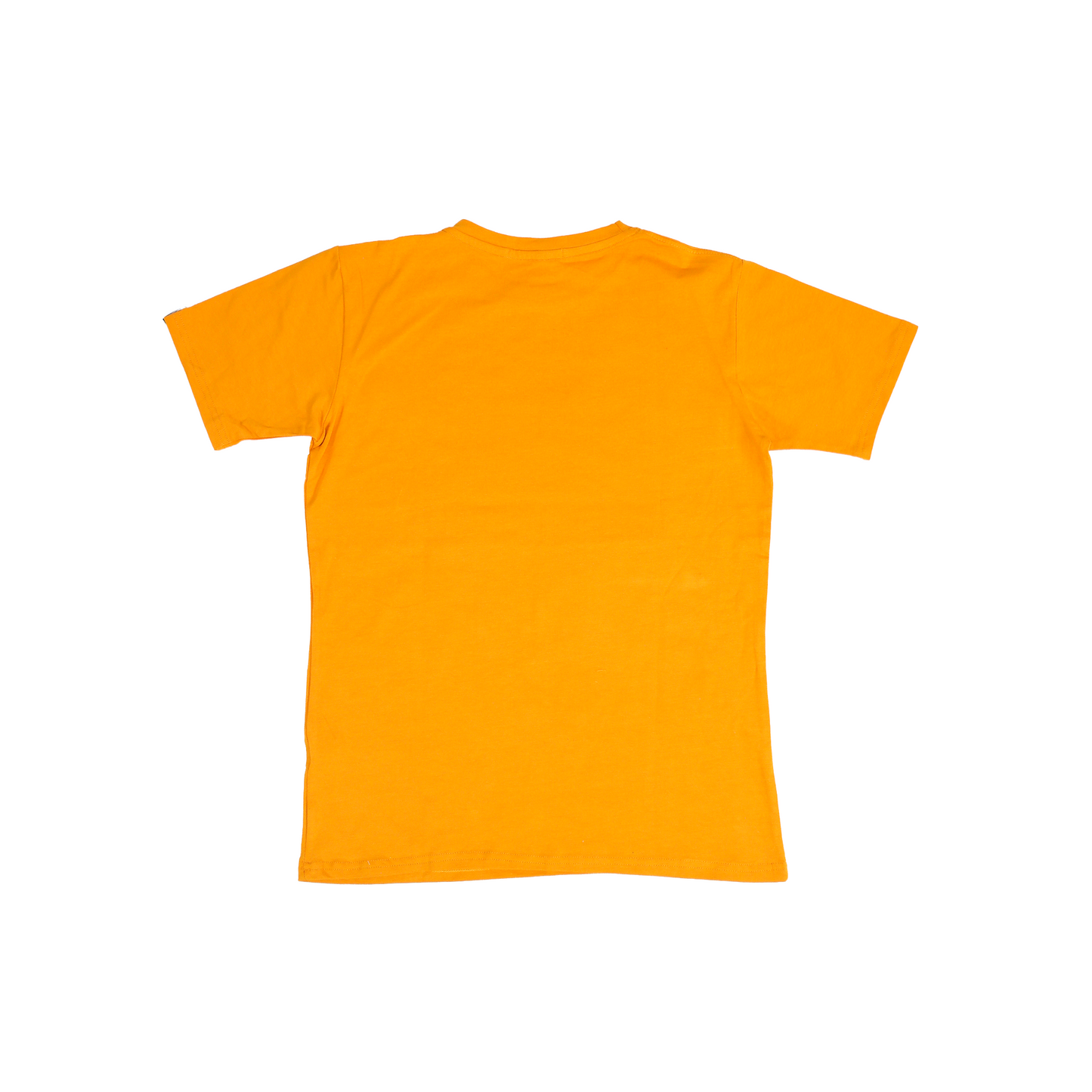 Round Neck Solid T-shirts