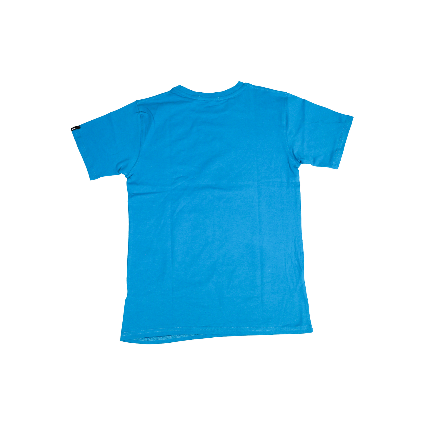 Round Neck Solid T-shirts (Sea Green)
